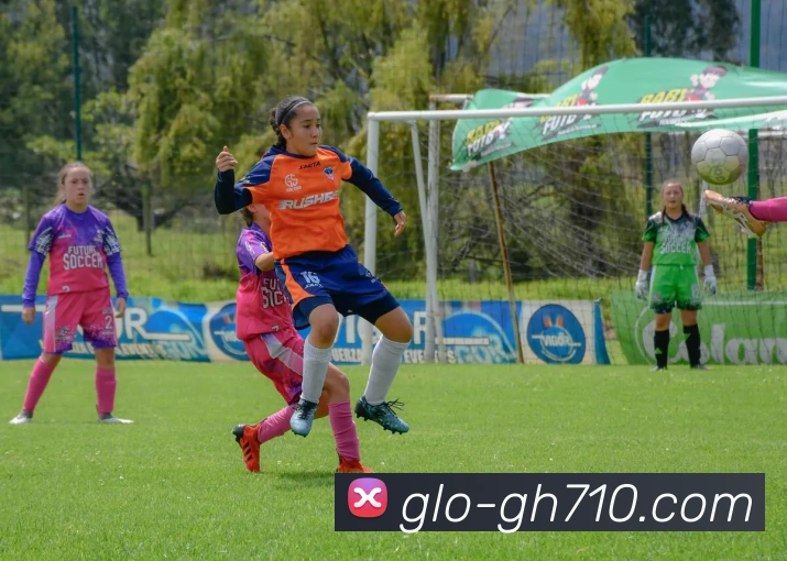 公海710官网APP 封面图